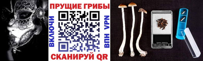 Галлюциногенные грибы GOLDEN TEACHER где найти наркотики Макаров